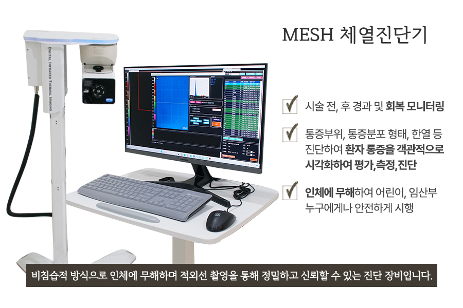 MESH 체열진단기
